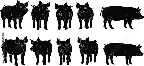 Collection of black pig and hog silhouettes in different poses isolated on white background for farm animals and butchery design,