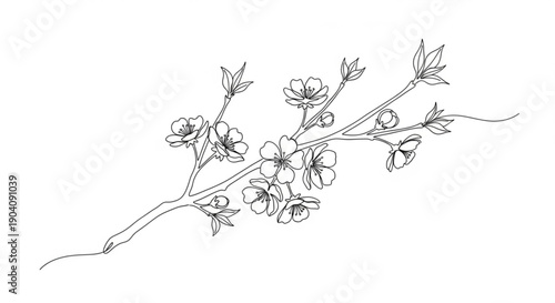 Hand drawn blooming branch with flowers and leaves on white background