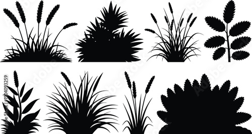 Grass and bush silhouettes collection, wild plants shrubs reeds foliage, minimalist botanical elements, black nature icons set, isolated on white background