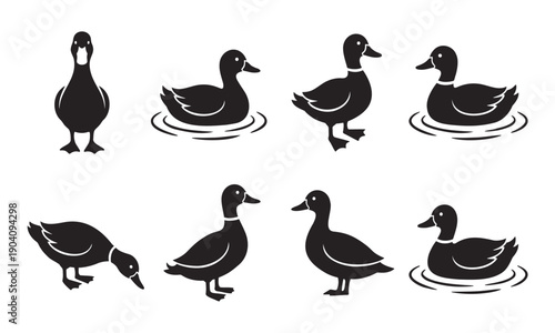 Black duck silhouette vector illustration set featuring swimming and standing waterfowl, mallard icons, and farm bird poses for nature design.