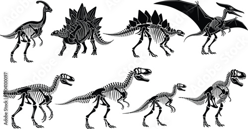 Detailed black silhouette vector illustration set of eight dinosaur skeletons including Tyrannosaurus Rex, Stegosaurus, and flying Pterodactyl