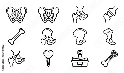 Human spinal column structure vertebral bones and anatomy transparent background