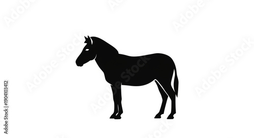Silhouette of a zebra standing on a white background.