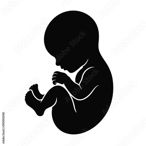 Black silhouette of a human fetus in the womb, curled up in a fetal position, representing early stages of human development and life.