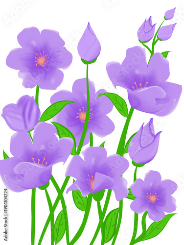 iris flowers isolated on white Purple Floral Illustration with Hand-Drawn Spring Wildflowers and Buds on White Background