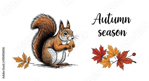 Cute squirrel illustration with autumn leaves and text.