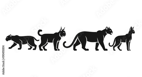 Silhouette Collection of Wild Feline Animals.