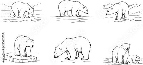 Polar bear illustrations, wildlife drawing, Arctic animal sketch, black and white bear art, nature pose reference, cub and adult bear