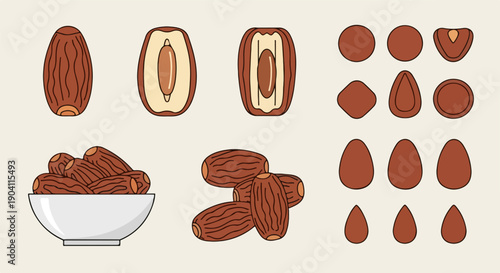 Date fruit vector icon set: whole, half, pitted, and bowl of dates. Brown food illustration for packaging, menu, or web design, isolated on white.