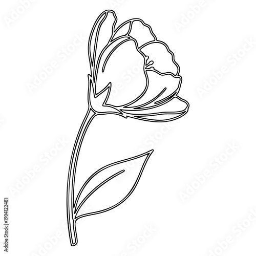 Delightful watercolor illustration of a friendly gnome with a pointy hat, offering a gift-wrapped present, suitable for holiday and birthday themes