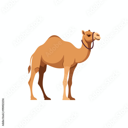 Desert Camel Illustration