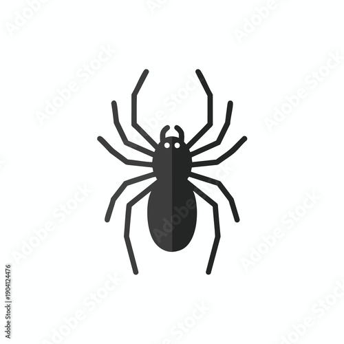 Black Spider Silhouette