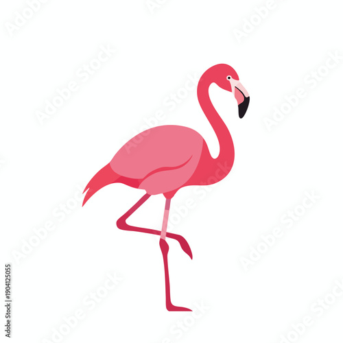 Pink Flamingo Illustration