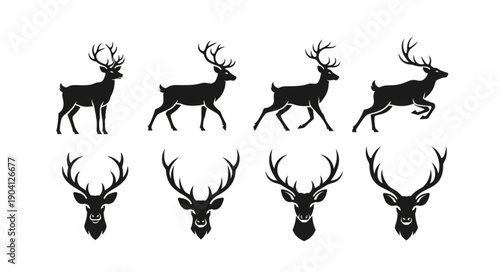 Set of Deer Silhouettes and Antlered Heads.