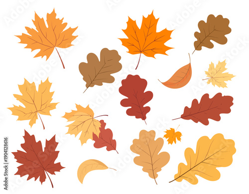Colorful Autumn Leaves Falling Flat Vector Design