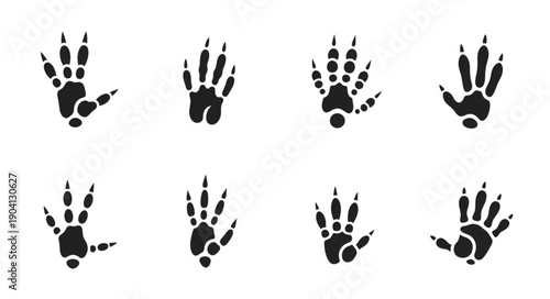 Set of Animal Paw Prints Vector Icons Isolated on White Background.