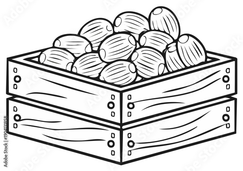 Wooden crate filled with fresh olives monochrome illustration.