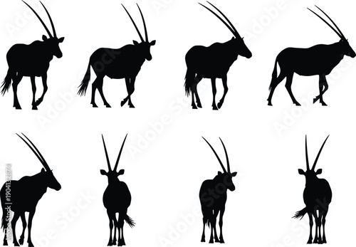 Oryx antelope silhouette set in multiple walking poses, African wild animal profiles isolated on white background, black vector collection