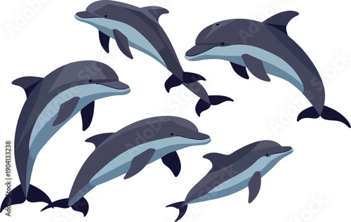 Group of Grey Blue Dolphins Underwater Ocean Sea Vector Illustration Flat Design
