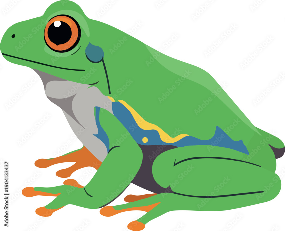 Fototapeta premium Green Tree Frog Isolated On White Background Flat Design Animal
