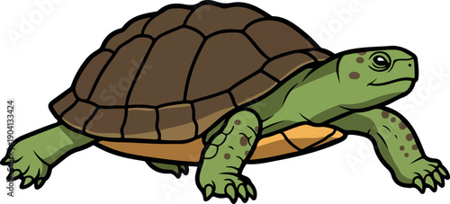 Green Turtle Isolated Object Minimal Illustration Reptile Creature