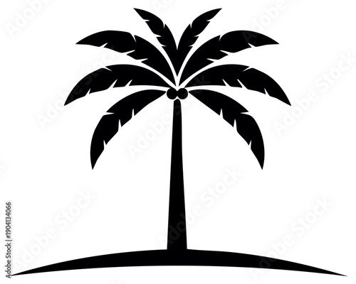 Silhouette of a Palm Tree with Coconuts and Fronds on a Sandy Dune