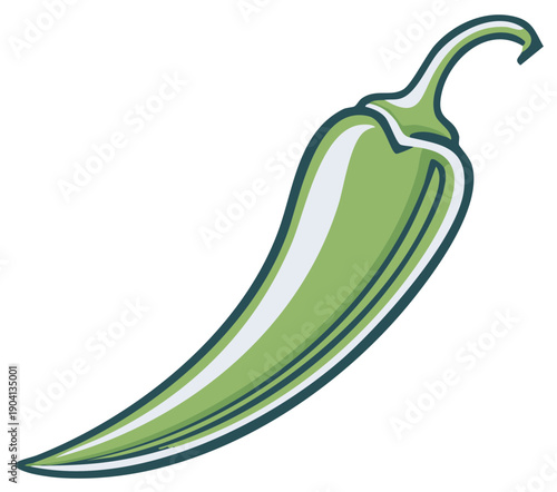 Fresh Green Chili Pepper Vector Illustration