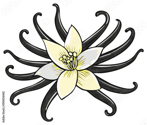 Vanilla Flower and Beans Illustration: Botanical Artwork, Flavoring