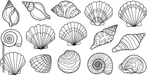 Seashell doodle icon set Hand drawn sea shell collection for summer design