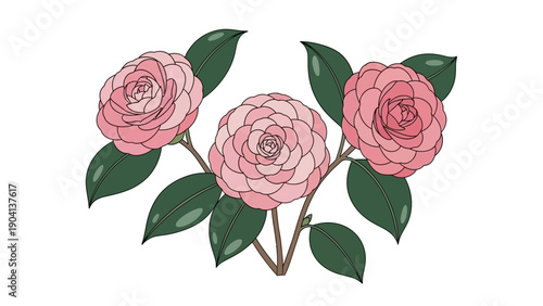 Pink Roses with Green Leaves Illustration.