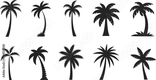 Black palm tree silhouette set, tropical coconut palms collection, isolated vector icons for summer beach design elements, nature, travel, clipart