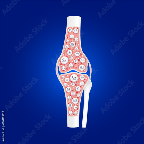 Healthy bone. Cross section of knee joint structure calcium mineral vitamins omega 3 and collagen inside. For Dietary supplement bone, Medical or health care concept. 3D vector.