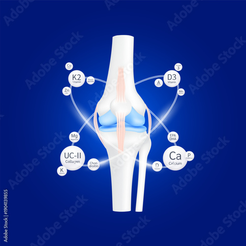 Healthy bone. Knee joint surround radius ring calcium mineral vitamins omega 3 and collagen. Dietary supplement bone, Medical or healthcare concept. Realistic 3D vector.