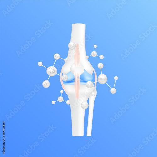 Vitamins minerals molecules calcium zinc and magnesium absorbed into the bone cartilage. Healthy human skeleton anatomy on blue background. Care bone knee joint. 3D vector.