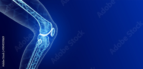 Leg bone side translucent low poly on blue background with empty space for text. Bone cartilage care bone knee joint. Used food ads media. Vector.