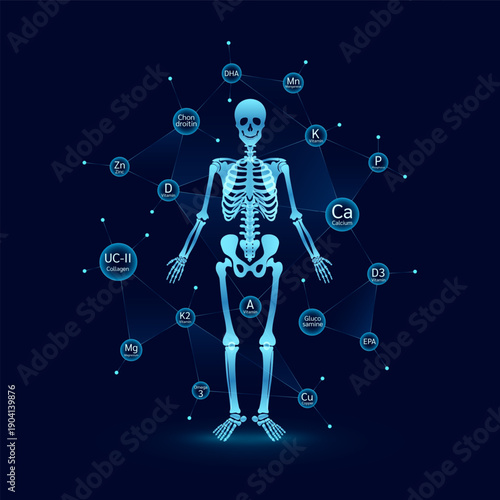 Human skeletal anatomy with minerals calcium vitamin D and collagen around on dark background. For advertising dietary supplements medical science. Vector EPS10.