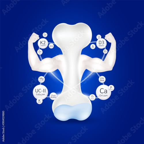 Healthy bone. Showing strong muscles powerful. Surround radius ring calcium mineral vitamins omega 3 and collagen. Dietary supplement bone, Medical or healthcare concept. Realistic 3D vector.