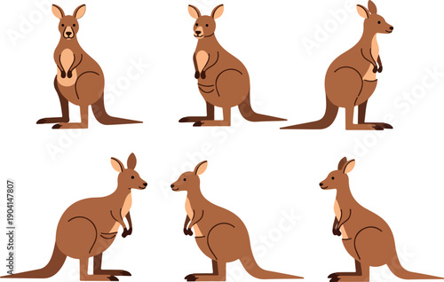 Wallpaper Mural Set Of Six Kangaroos In Flat Design Style Isolated On White Background Torontodigital.ca