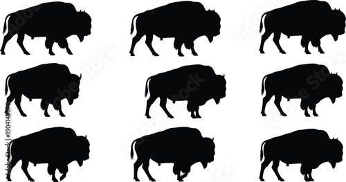 WebBlack vector silhouette set of American bison for concepts of wildlife nature power strength buffalo hunting safari and mascot branding