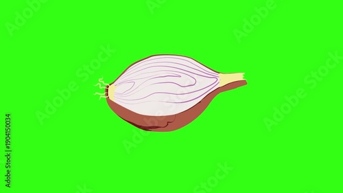 Shallot cartoon animation on green screen 