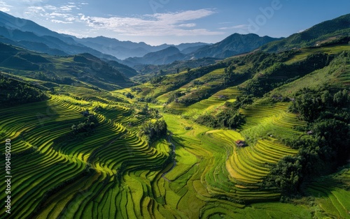Majestic Green Rice Terraces on Rolling Hills Under a Clear Blue Sky with Distant Mountains agriculture