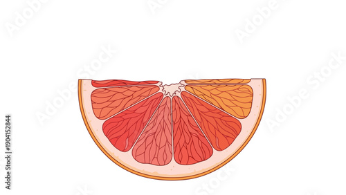 Crosssection slice of a pinkred grapefruit segment on white background