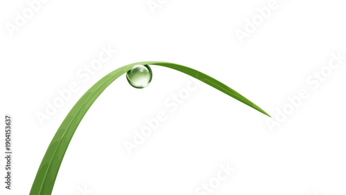 Single dewdrop clinging to the curve of a vibrant green blade of grass