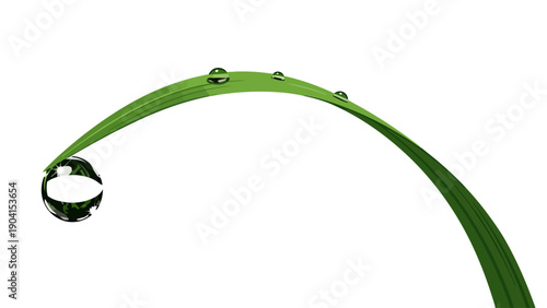 Single green grass blade arching with water droplets on a white background