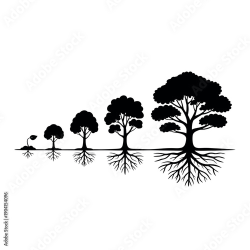 Tree growth stages silhouette illustrates successful development from seedling to mature rooted plant.