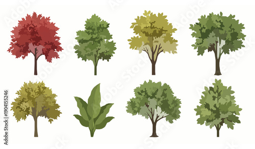 Realistic colorful trees and plants vector set in red yellow and green for ecology and garden design