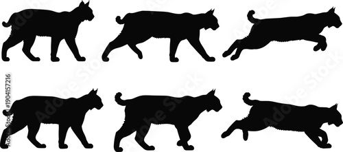 Black lynx silhouettes set in different movement stages including walking and jumping, bobcat vector icons for wild cat nature design elements,