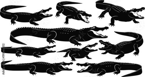 Black silhouettes of crocodiles and alligators set, predatory reptiles in various poses isolated on white background, vector illustration for wildlife and swamp nature design,