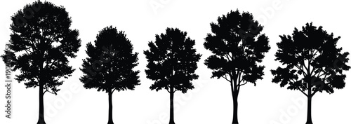 Black silhouettes of deciduous trees set, various leafy tree shapes isolated on white background, vector illustration for forest nature and garden landscape design,