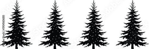 Pine tree silhouette evergreen forest vector illustration black nature fir spruce winter landscape design element botanical collection set
